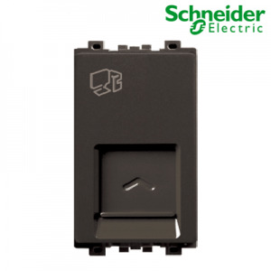 Ổ cắm Data CAT6 Schneider 8431SRJ6V_BZ_G19