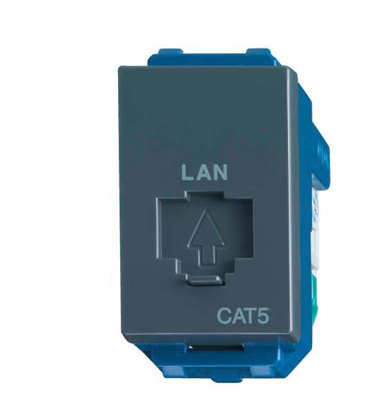 Ổ cắm data WEV2488H-CAT5