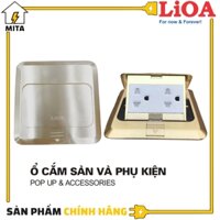 Ổ cắm điện âm sàn LiOA - Ổ đôi 3 chấu