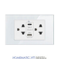 Ổ cắm điện có cổng usb âm tường hỗ trợ sạc nhanh PD 3.0 PPS Homematic HM-USB2