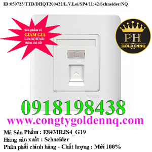 Ổ cắm điện thoại Zencelo Schneider Series E8431RJS4-G19