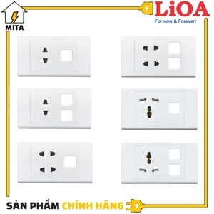 Ổ cắm đôi 2 chấu 16A với 2 lỗ LiOA E18S2U2X
