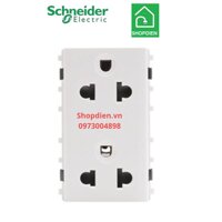 Ổ cắm đôi 3 chấu size L 13AX Schneider S-FLEXI- F1426UEST2M_G19