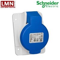 Ổ CẮM GẮN ÂM DẠNG NGHIÊNG PKF16F423 PK SCHNEIDER