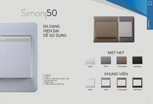 Ổ cắm hai chấu dành cho chấu tròn và dẹt kèm công tắc một chiều Simon 51076B