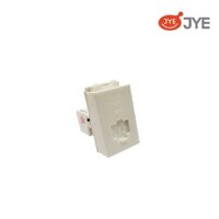 Ổ cắm Internet JY-E2051