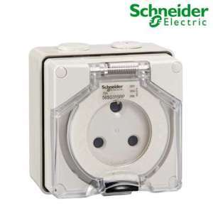 Ổ cắm IP66 Schneider S56SO315RPGY