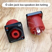 Ổ cắm jack loa speakon cổng cái đồng mạ bạc chịu tải chịu lực tốt - Speakon audio jacks for speakers, designed for fixed mounting on speaker enclosures or cabinets - recessed into walls.