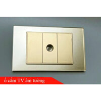 Ổ Cắm Mạng Âm tường Mặt Kính Cường Lực Viền Vàng TENKO TK-C18-071 Vàng