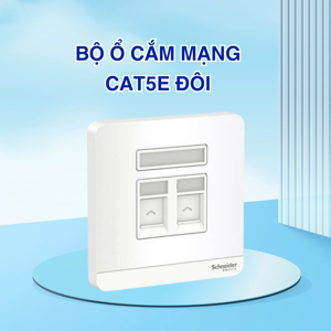 Ổ cắm mạng cat5e đôi Schneider E8332RJS5_WD_G19