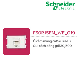 Ổ cắm mạng cat5e S-Flexi Schneider F30RJ5EM_WE_G19