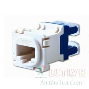 Ổ cắm mạng CAT5E Schneider Series S-Classic ACTRJ30M5ENSUWE