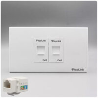 Ổ cắm mạng thoại đôi (1 Mặt mạng + Nhân mạng RJ45 Cat6 + 1 Nhân thoại RJ11 )