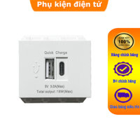 Ổ cắm sạc điện thoại cổng usb+ TYpe-c âm tường sinoamigo P21-QC1 lắp cho mặt Panasonic