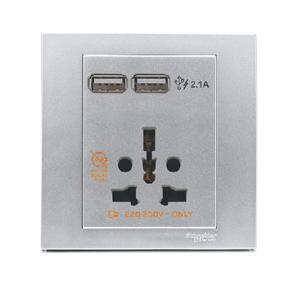 Ổ cắm Schneider KB42616USB_AS_G19