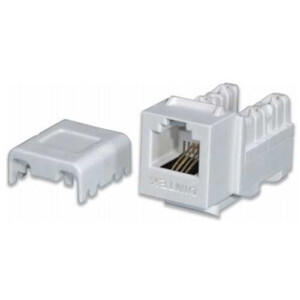 Ổ cắm thoại RJ11 Keystone Jack Dintek Cat.3 Unshielded 1305-01007