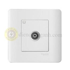 Ổ cắm Tivi đơn Schneider Zencelo E8431TVS-G19