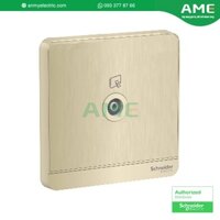 Ổ cắm TV đơn màu vàng ánh kim dòng AvatarON Schneider_E8331TV_WG_G19