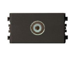 Ổ cắm TV Schneider 8431STV_BZ_G19