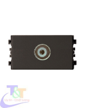 Ổ cắm TV Schneider 8431STV_BZ_G19