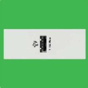 Ổ cắm USB type A 2.1A size S M3T_USB_WE