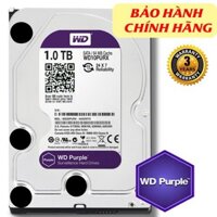 Ổ cứng 1 TB Western Purpel (tím) WD10PURZ chuyên camera (DSS, SPC Bảo hành 36 tháng)