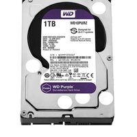 Ổ Cứng 1TB WD TÍM SPC (chiếc)