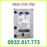 Ổ CỨNG 2000GB TÍM ( 2TB ) WESTERN