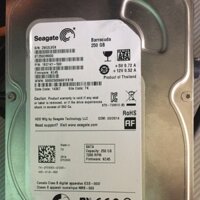 Ổ cứng 250gb seagate