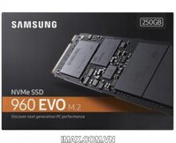 Ổ cứng 250GB SSD Samsung 960 EVO PCIe NVMe M.2 2280