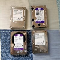 Ổ cứng 2TB 3TB 1TB western purple 3.5"