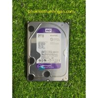 Ổ Cứng 2TB WESTERN PURPLE