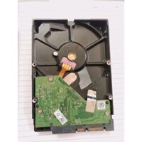 Ổ cứng 500Gb Western Seagate cho máy tính bàn chuẩn sata3