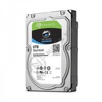 Ổ cứng 6TB Seagate SkyHawk ST6000VX001