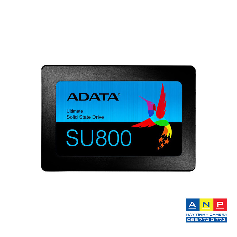 Ổ cứng Adata SSD SU800 - 512GB