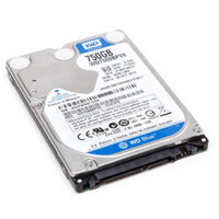 Ổ cứng cho laptop HDD Western Digital WD 750GB (xanh)