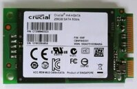 Ổ cứng  Crucial m4 msata 256 GB Laptop