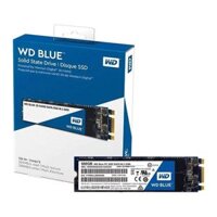 Ổ cứng cũ SSD WD Blue 500GB / M.2-2280 / SATA III