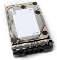 Ổ cứng Dell 600GB Hard Drive SAS ISE 12Gbps 10k 512n 2.5in w/3.5in Brkt Cabled, CUS Kit