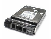 Ổ cứng Dell 8TB Hard Drive SATA 6Gbps 7.2K 512e 3.5in Cabled, CUS Kit