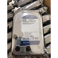 Ổ cứng gắn trong HDD WD Blue 6TB