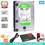 Ổ cứng gắn trong máy tính để bàn HDD Western Green 2TB SATA 6Gb/s - Tặng: Cáp Sata USB 8GB Lót Chuột