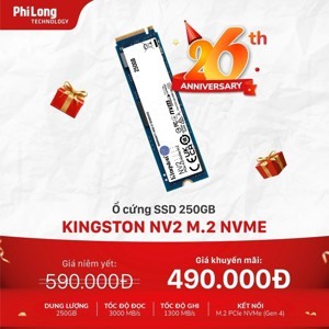Ổ cứng gắn trong SSD Kingston NV2 250GB PCIe Gen4x4 NVMe M.2