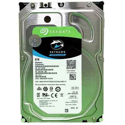 Ổ cứng giám sát Seagate ST6000VX0001 - 6TB