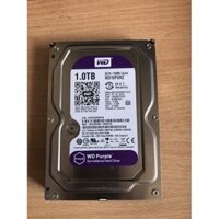 Ổ Cứng HDD 1T Western