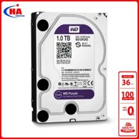 Ổ cứng HDD 1TB-Ổ cứng HDD 1TB WD (tím) camera -Ổ cứng