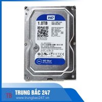 Ổ cứng HDD 1TB Western Blue