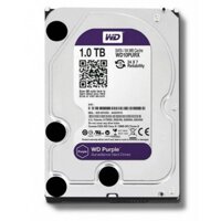 Ổ Cứng HDD 1Tb Western Purple (Màu Tím) Cho Camera 100% Mới Bảo Hành 24 Tháng