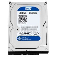 Ổ Cứng HDD 250G WD chuyên dùng cho máy tính để bàn.Bus nhanh, bền. giá rẻ.