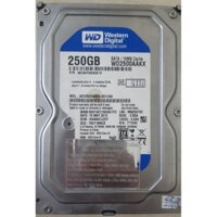 Ổ cứng hdd 250GB chuyên dụng cho máy tính